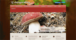 Desktop Screenshot of masquesetas.com